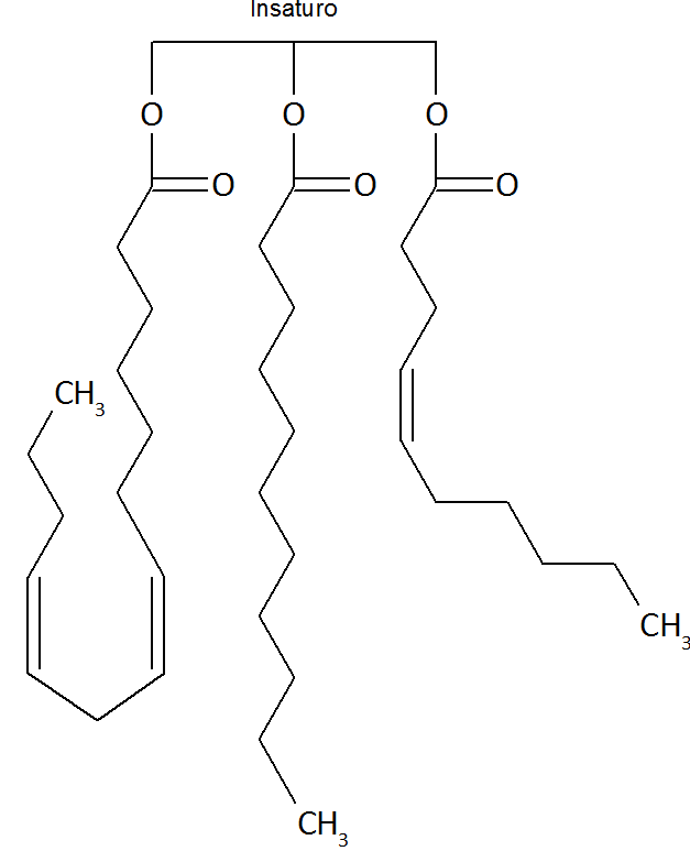 triglicerici; acidi insaturi; trigliceride insaturo;